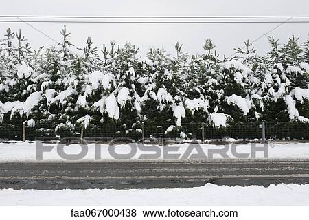 Stock Photo - Road through snowy landscape. Fotosearch