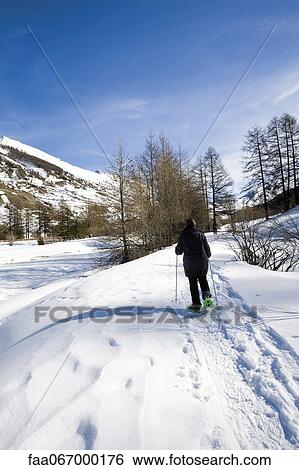 Stock Photograph - Snowshoeing. Fotosearch