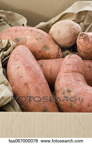 Sweet potatoes View Large Photo Image Stock Photo - Sweet potatoes. Fotosearch