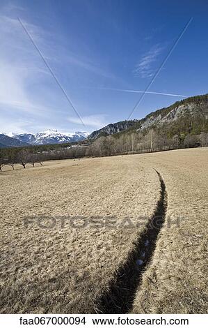 Picture - Track in the middle of meadow. Fotosearch