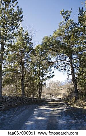 Walking along dirt road through countryside View Large Photo Image Stock Image - Walking along dirt road through countryside. Fotosearch