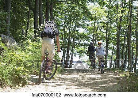 Cyclists riding through woods, rear view View Large Photo Image Stock Image - Cyclists riding through woods, rear view. Fotosearch