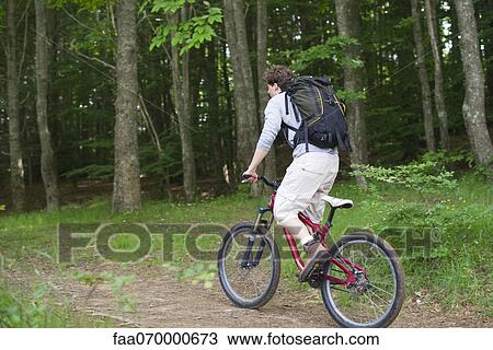 Mountain biker riding through woods View Large Photo Image Stock Image - Mountain biker riding through woods. Fotosearch