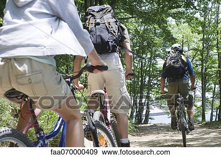 Mountain bikers riding through woods, rear view View Large Photo Image Stock Photo - Mountain bikers riding through woods, rear view. Fotosearch