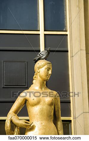 Pigeon perched on golden statue View Large Photo Image Stock Photography - Pigeon perched on golden statue. Fotosearch