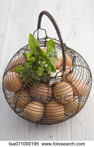 Basket filled with fresh eggs and herbs View Large Photo Image Stock Photography - Basket filled with fresh eggs and herbs. Fotosearch