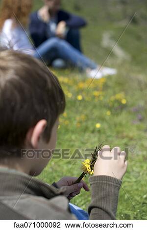 Boy playing with wildflowers, rear view View Large Photo Image Stock Image - Boy playing with wildflowers, rear view. Fotosearch