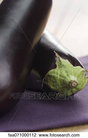 Eggplants View Large Photo Image Stock Image - Eggplants. Fotosearch