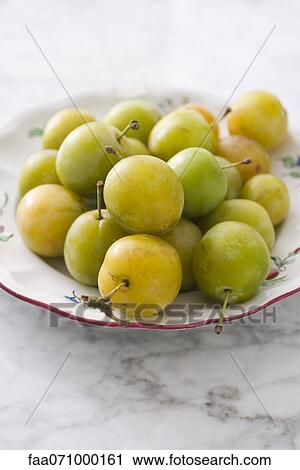 Stock Image - Fresh greengage plums. Fotosearch