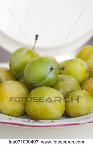 Fresh greengage plums View Large Photo Image Stock Photo - Fresh greengage plums. Fotosearch