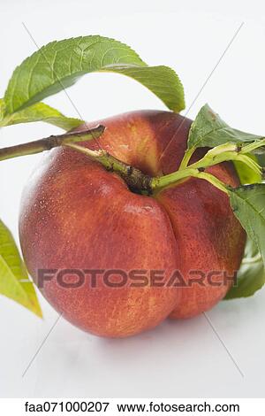 Fresh nectarine View Large Photo Image Stock Photo - Fresh nectarine. Fotosearch