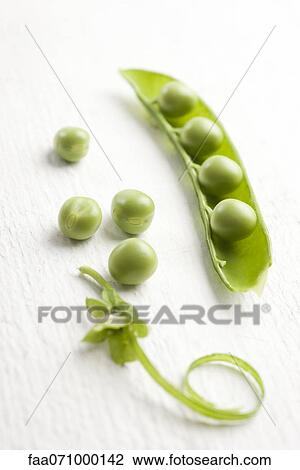 Fresh peas View Large Photo Image Stock Image - Fresh peas. Fotosearch