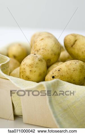 Fresh potatoes in basket View Large Photo Image Stock Image - Fresh potatoes in basket. Fotosearch