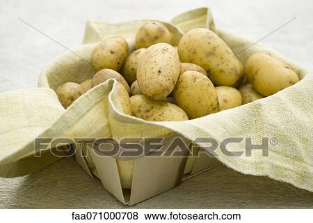 Fresh potatoes in basket View Large Photo Image Stock Photo - Fresh potatoes in basket. Fotosearch