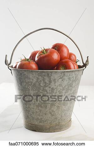 Fresh tomatoes in bucket View Large Photo Image Stock Photography - Fresh tomatoes in bucket. Fotosearch