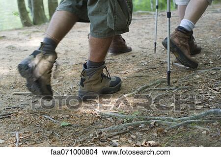 Picture - Hikers walking on path, cropped. Fotosearch