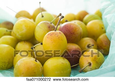 Mirabelle plums View Large Photo Image Stock Image - Mirabelle plums. Fotosearch