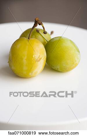 Mirabelle plums View Large Photo Image Stock Photo - Mirabelle plums. Fotosearch