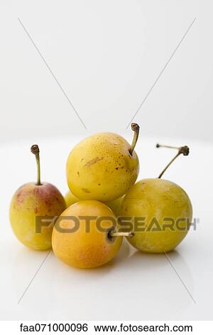 Mirabelle plums View Large Photo Image Stock Photograph - Mirabelle plums. Fotosearch