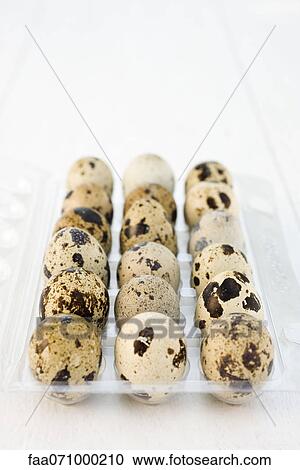 Quail eggs View Large Photo Image Stock Image - Quail eggs. Fotosearch