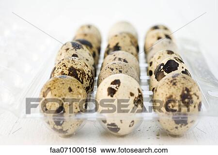 Quail eggs View Large Photo Image Stock Photo - Quail eggs. Fotosearch