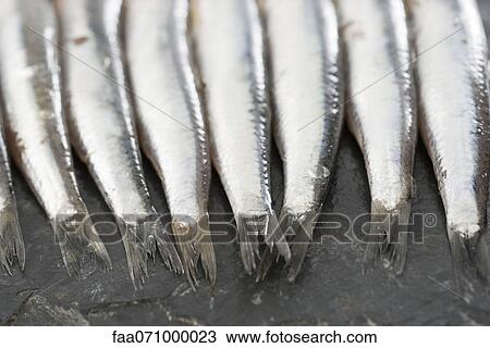 Stock Image - Raw anchovies, cropped. Fotosearch