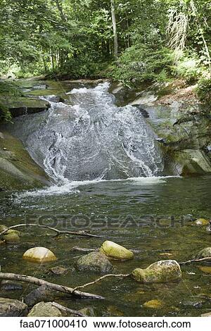 Stream through woods View Large Photo Image Stock Image - Stream through woods. Fotosearch