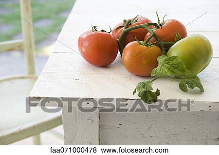 Tomatoes ripening on table View Large Photo Image Stock Photo - Tomatoes ripening on table. Fotosearch