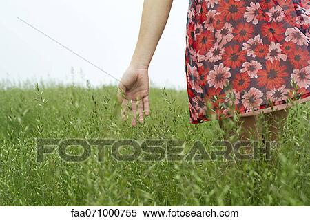 Woman touching tall grass, cropped View Large Photo Image Stock Photography - Woman touching tall grass, cropped. Fotosearch