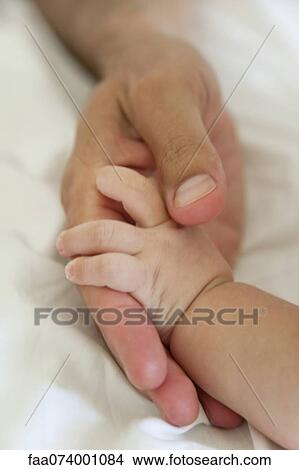 Picture - Adult's hand holding baby's hand. Fotosearch