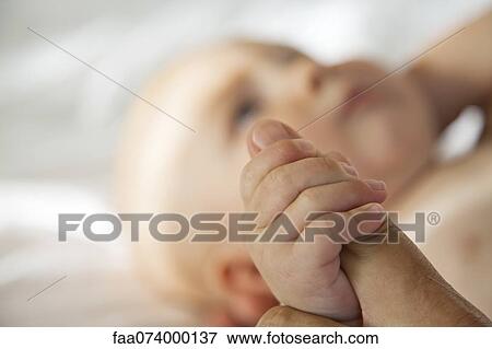 Baby holding adult's finger View Large Photo Image Stock Photo - Baby holding adult's finger. Fotosearch