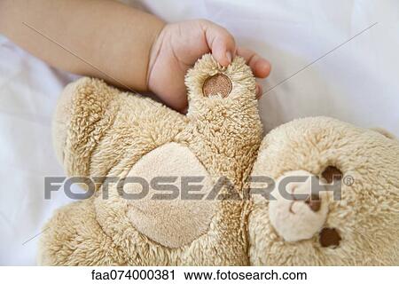 Stock Image - Baby holding hands with teddy bear, cropped. Fotosearch