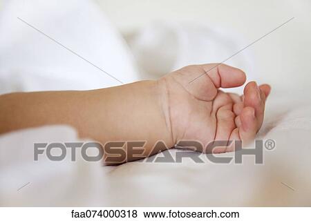 Baby's hand View Large Photo Image Stock Photo - Baby's hand. Fotosearch