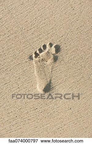 Footprint in sand View Large Photo Image Stock Photo - Footprint in sand. Fotosearch
