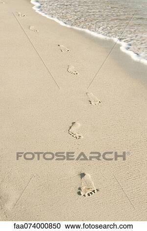 Footprints in sand View Large Photo Image Stock Image - Footprints in sand. Fotosearch