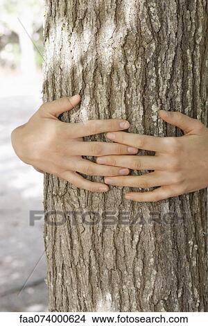 Hands hugging tree trunk, cropped View Large Photo Image Picture - Hands hugging tree trunk, cropped. Fotosearch
