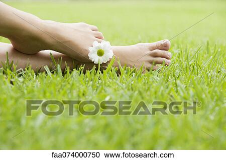 Holding flower between toes View Large Photo Image Stock Image - Holding flower between toes. Fotosearch
