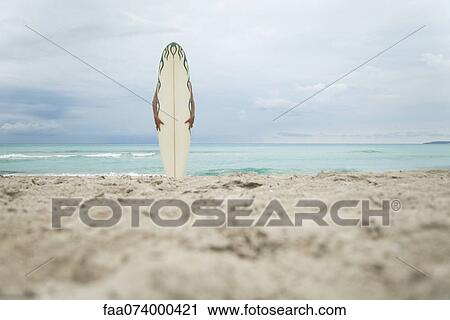 Person hiding behind surfboard at the beach View Large Photo Image Stock Image - Person hiding behind surfboard at the beach. Fotosearch