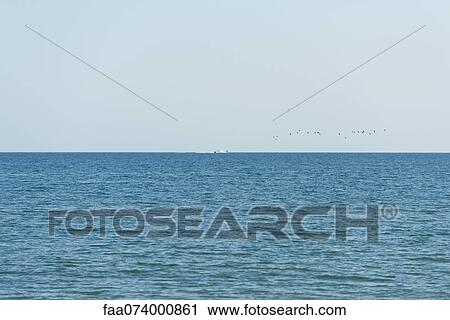 Seascape, boat and birds in visible in the distance View Large Photo Image Stock Image - Seascape, boat and birds in visible in the distance. Fotosearch
