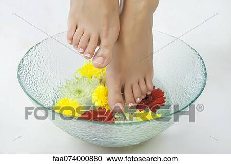 Woman soaking feet in foot bath with flowers, cropped View Large Photo Image Stock Image - Woman soaking feet in foot bath with flowers, cropped. Fotosearch