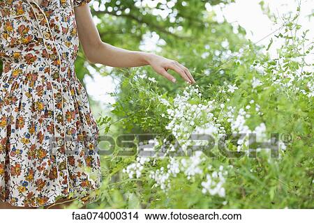 Woman touching wildflowers, mid section View Large Photo Image Picture - Woman touching wildflowers, mid section. Fotosearch