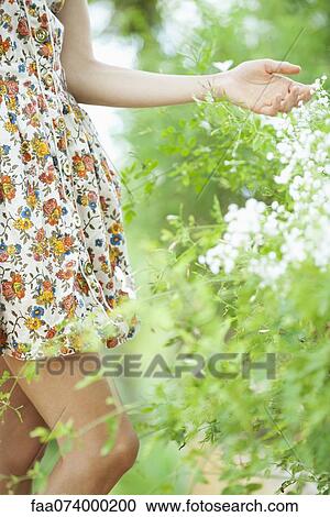 Woman touching wildflowers, mid section View Large Photo Image Stock Image - Woman touching wildflowers, mid section. Fotosearch