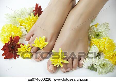 Woman with flowers between her toes, cropped View Large Photo Image Stock Photograph - Woman with flowers between her toes, cropped. Fotosearch