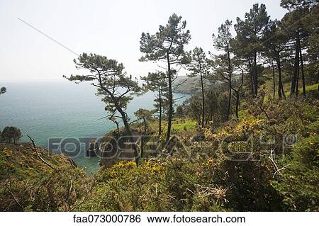Anse Saint-Nicolas, Crozon Peninsula, FinistÅre, Brittany, France View Large Photo Image Stock Photograph - Anse Saint-Nicolas, Crozon Peninsula, FinistÅre, Brittany, France. Fotosearch