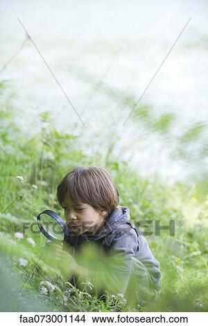 Picture - Boy looking at vegetation through magnifying glass. Fotosearch