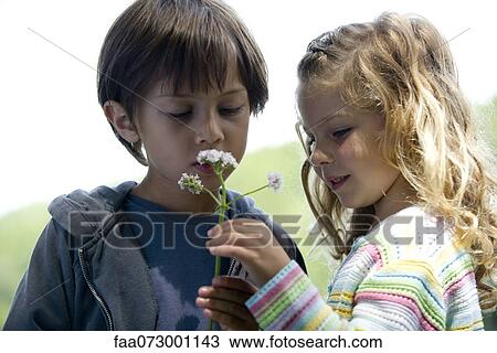 Children looking at wildflowers View Large Photo Image Stock Image - Children looking at wildflowers. Fotosearch