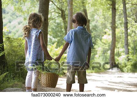 Children walking together in woods, carrying basket of fern fronds View Large Photo Image Stock Image - Children walking together in woods, carrying basket of fern fronds. Fotosearch