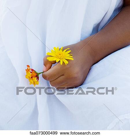 Child's hand holding flowers View Large Photo Image Stock Photo - Child's hand holding flowers. Fotosearch