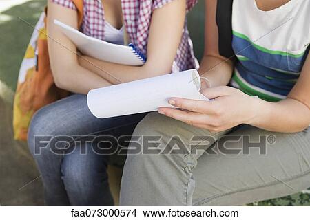 Classmates studying outdoors, cropped View Large Photo Image Picture - Classmates studying outdoors, cropped. Fotosearch