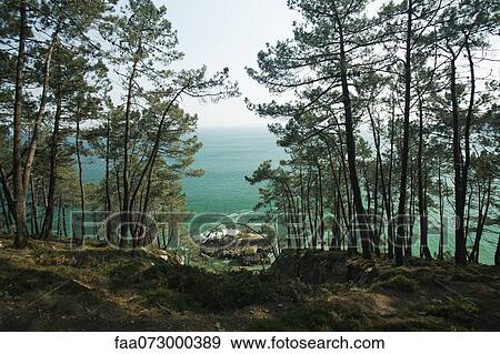 Coastal view, Crozon Peninsula, FinistÅre, Brittany, France View Large Photo Image Stock Photo - Coastal view, Crozon Peninsula, FinistÅre, Brittany, France. Fotosearch